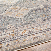 Surya Aida Aad-2305 Tan & Ivory Area Rug