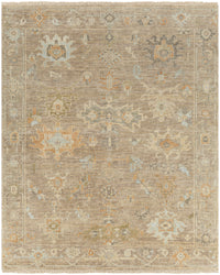 Surya Antalya Aat-2301 Brown Area Rug