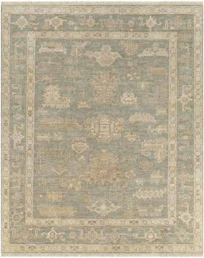 Surya Antalya Aat-2306 Grey Area Rug