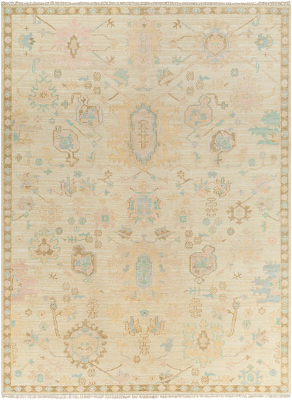 Surya Antalya Aat-2307 Brown Area Rug