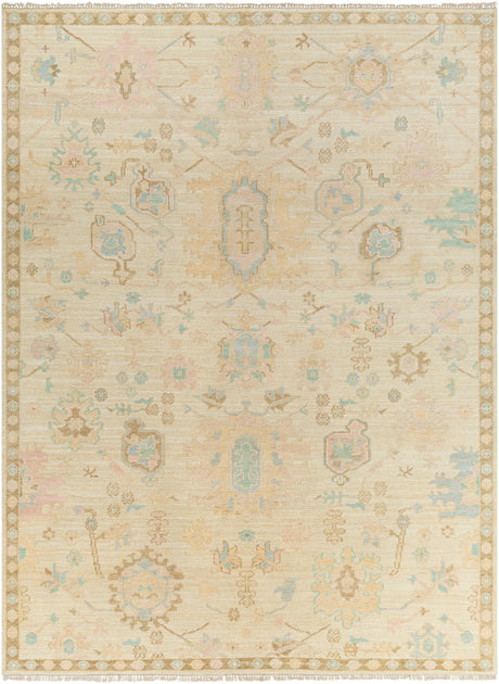 Surya Antalya Aat-2307 Brown Rug.