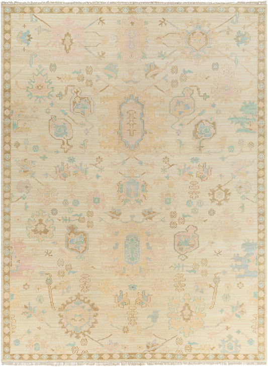 Surya Antalya Aat-2307 Brown Area Rug