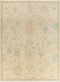 Surya Antalya Aat-2307 Brown Area Rug