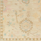 Surya Antalya Aat-2307 Brown Rug.