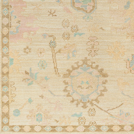 Surya Antalya Aat-2307 Brown Rug.