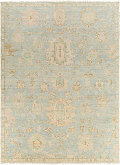 Surya Antalya Aat-2310 Blue Area Rug