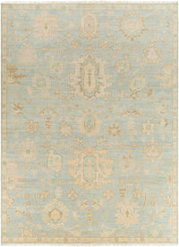 Surya Antalya Aat-2310 Blue Area Rug