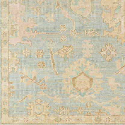 Surya Antalya Aat-2310 Blue Area Rug