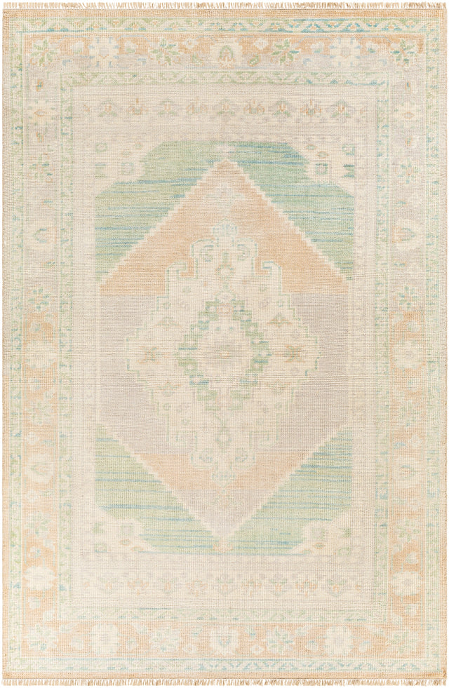 Surya Anadolu Aau-2303 Sage, Blush, Light Gray, Aqua Rugs.