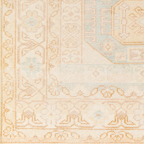 Surya Anadolu Aau-2304 Aqua, Blush, Beige, Wheat Rugs.