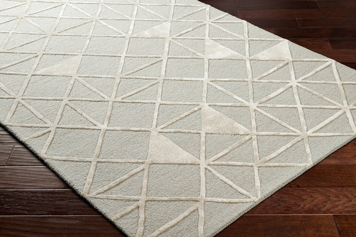 Surya Addison Add-2302 Brown Rug.