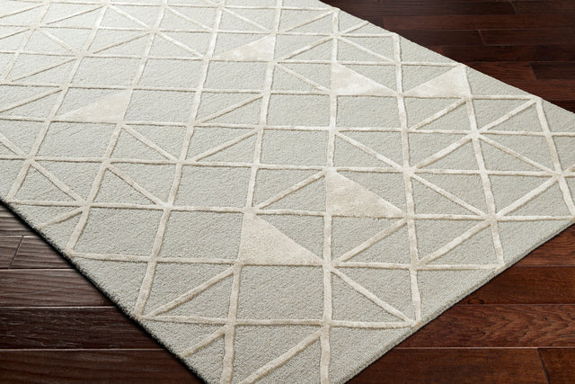 Surya Addison Add-2302 Brown Rug.