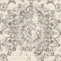 Safavieh Adirondack Adr101B Ivory / Silver Vintage / Distressed Area Rug