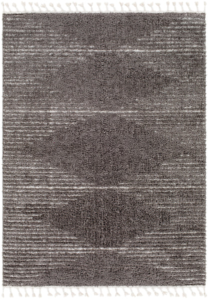 Surya Alhambra Ahb-2304 Charcoal, Cream Area Rug