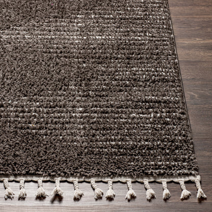 Surya Alhambra Ahb-2304 Charcoal, Cream Area Rug