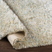 Surya Anaheim Ahm-2300 Sky Blue, Mint, White, Tan Area Rug