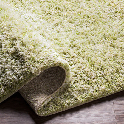 Surya Anaheim Ahm-2303 Grass Green, Moss, Seafoam, Sage Area Rug