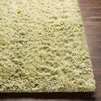 Surya Anaheim Ahm-2303 Grass Green, Moss, Seafoam, Sage Area Rug