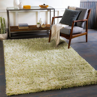 Surya Anaheim Ahm-2303 Grass Green, Moss, Seafoam, Sage Area Rug