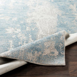 Surya Aisha Ais-2301 Sky Blue, Medium Gray, Light Gray Rugs.