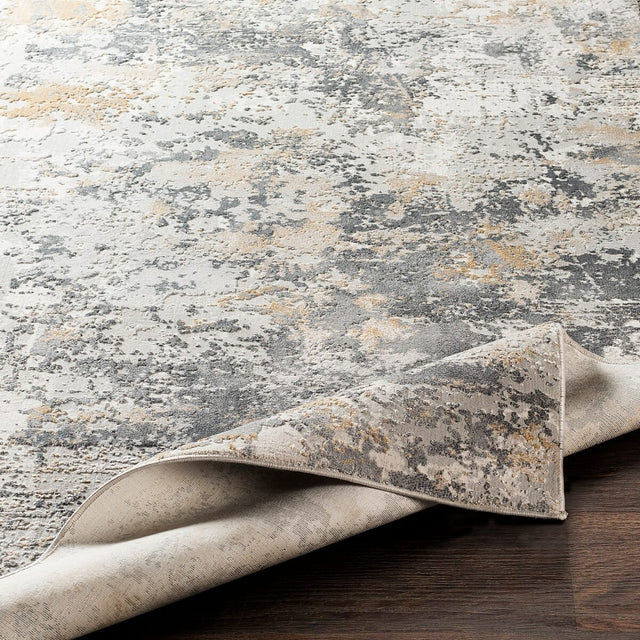 Surya Aisha Ais-2303 Charcoal, Medium Gray, Light Gray Rugs.