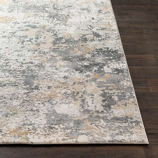 Surya Aisha Ais-2303 Charcoal, Medium Gray, Light Gray Rugs.