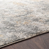 Surya Aisha Ais-2303 Charcoal, Medium Gray, Light Gray Rugs.