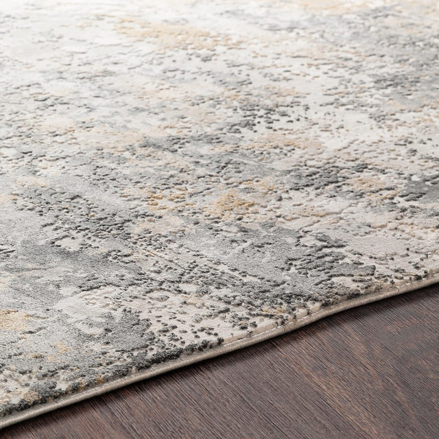 Surya Aisha Ais-2303 Charcoal, Medium Gray, Light Gray Rugs.