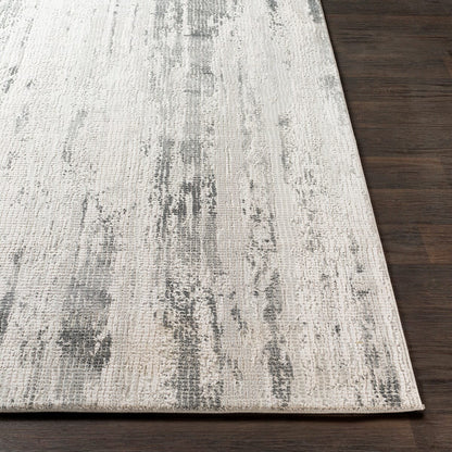 Surya Aisha Ais-2304 Medium Gray, Charcoal, Light Gray Organic / Abstract Area Rug