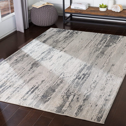 Surya Aisha Ais-2304 Medium Gray, Charcoal, Light Gray Organic / Abstract Area Rug