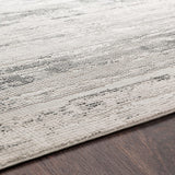 Surya Aisha Ais-2304 Medium Gray, Charcoal, Light Gray Rugs.