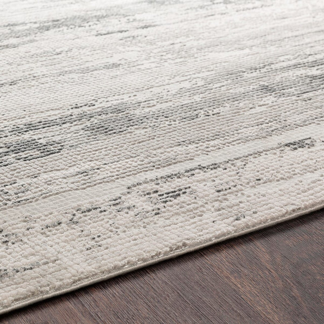 Surya Aisha Ais-2304 Medium Gray, Charcoal, Light Gray Rugs.