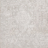 Surya Aisha Ais-2306 Light Gray, White Vintage / Distressed Area Rug