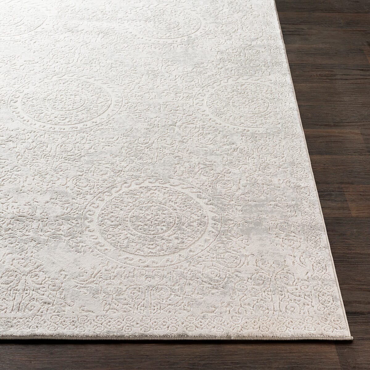 Surya Aisha Ais-2307 Light Gray, White Vintage / Distressed Area Rug