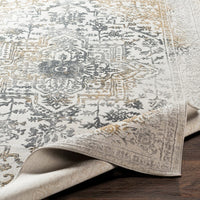 Surya Aisha Ais-2308 Charcoal, Medium Gray, Mustard Vintage / Distressed Area Rug