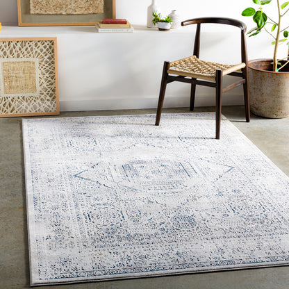 Surya Aisha Ais-2318 Charcoal, Taupe, Ivory, Dark Blue Area Rug