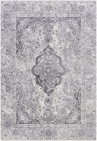 Surya Aisha Ais-2319 Medium Gray, Taupe, Charcoal, Ivory Area Rug