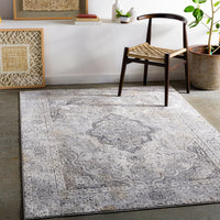 Surya Aisha Ais-2319 Medium Gray, Taupe, Charcoal, Ivory Area Rug