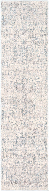 Surya Ankara Akr-2310 Pale Blue, Light Gray, Bright Blue, Ivory Rugs.
