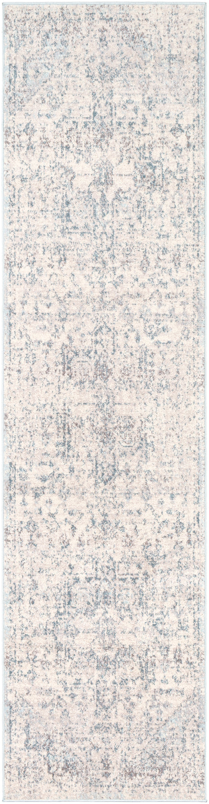 Surya Ankara Akr-2310 Pale Blue, Light Gray, Bright Blue, Ivory Area Rug