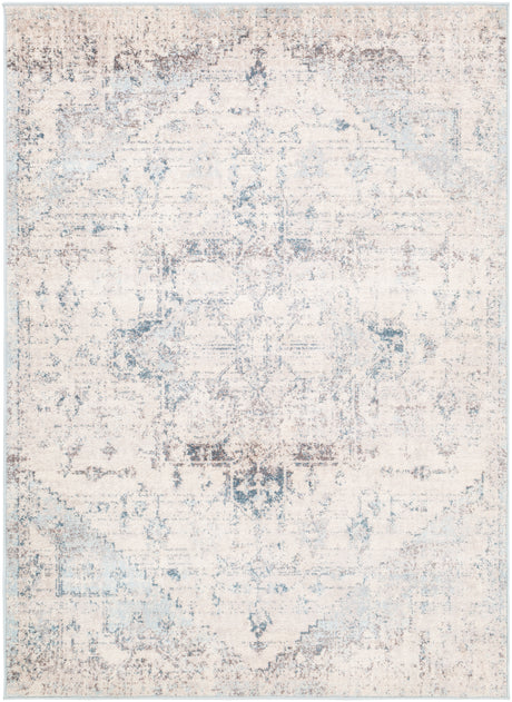 Surya Ankara Akr-2310 Pale Blue, Light Gray, Bright Blue, Ivory Rugs.