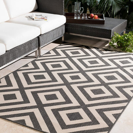 Surya Alfresco Alf-9639 Black / Beige Rugs.
