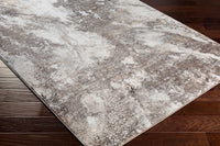 Surya Allegro Alg-2335 Gray Area Rug