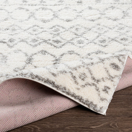 Surya Aliyah Shag Alh-2302 Cream, Medium Gray Rugs.