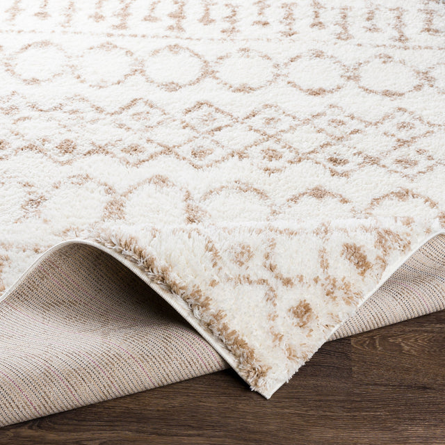 Surya Aliyah Shag Alh-2303 Beige, Cream Rugs.