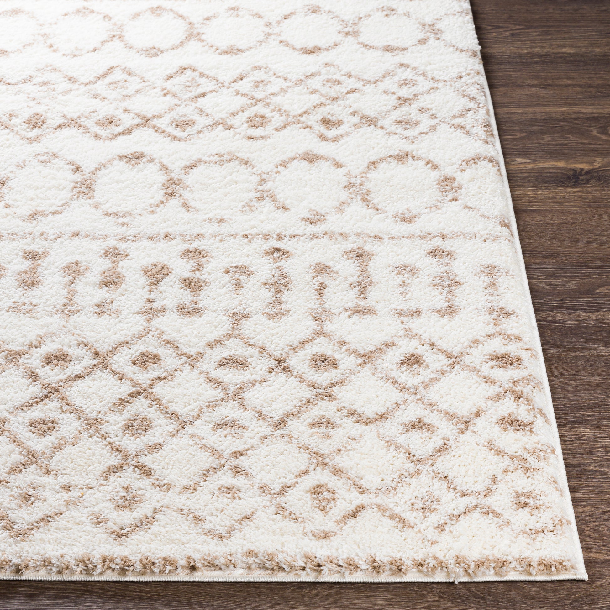 Surya Aliyah Shag Alh-2303 Beige, Cream Area Rug