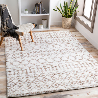 Surya Aliyah Shag Alh-2303 Beige, Cream Area Rug