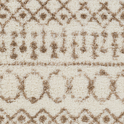 Surya Aliyah Shag Alh-2303 Beige, Cream Area Rug