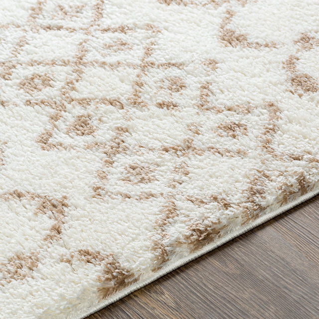 Surya Aliyah Shag Alh-2303 Beige, Cream Rugs.