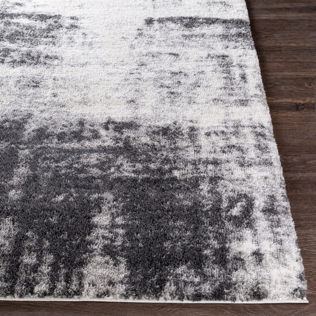 Surya Aliyah Shag Alh-2306 Light Gray, Cream, Medium Gray, Charcoal Rugs.